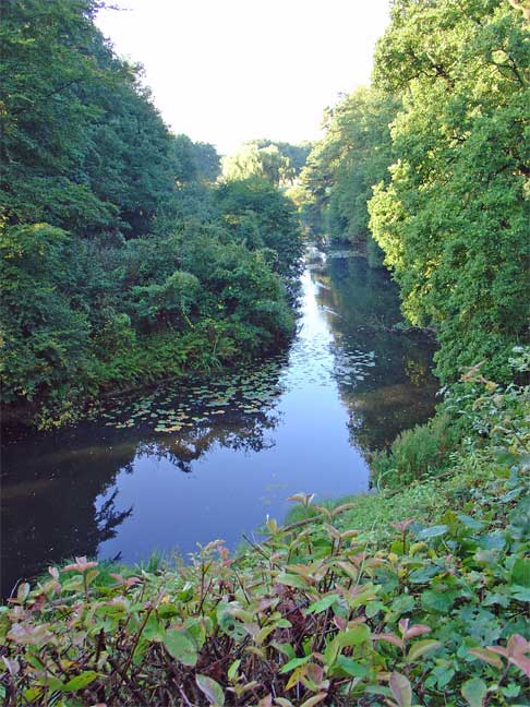 Riviertje de Regge bij de Steile Oever
