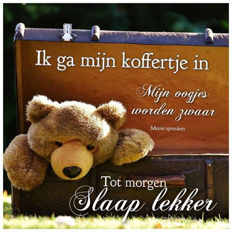 Kamer 2
